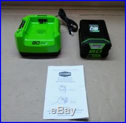 GreenWorks GCH8040 Pro 80V Single Port Rapid Charger & New Battery